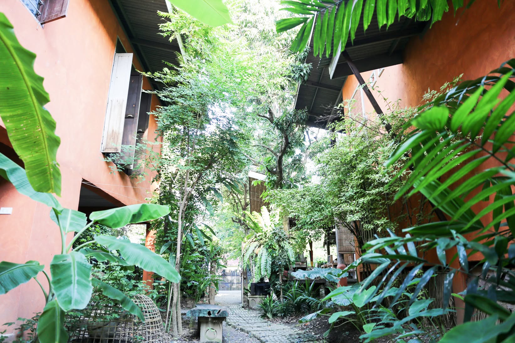A leafy garden passage between Baannoi’s Lanna homes